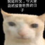 tigergaming