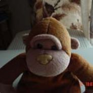 Mouse - steam id 76561197961450927