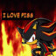 Shadow the hedgehog