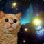 Space Cat