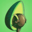 Palta