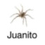 juanito