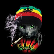 Саня хуятина