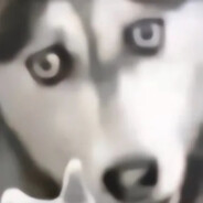 你很急，但你先别急