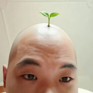 康乃的子子