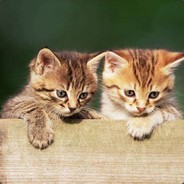 我是左磊的亲父亲