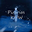 KIFW Pistriss