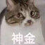 咸鱼