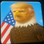 Trumpini Democratini
