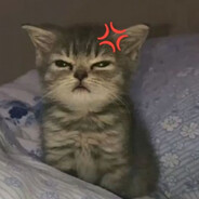 kvbusieqq.alt skins.army