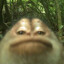 Mongee