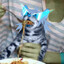Spaghetti Fueled Batwolf