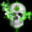 pluG_inho