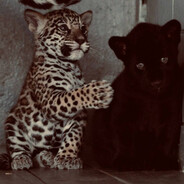 𝓵𝓿𝔂𝓸𝓷𝓸𝓴