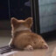 minchan