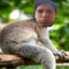 Conejil69