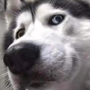 中单法师刘海柱