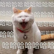 至此流年各天涯