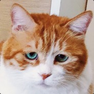 Ultrameow