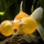walterthegoldfish
