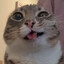 Cae