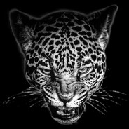 Lakishaa2 Steam avatar