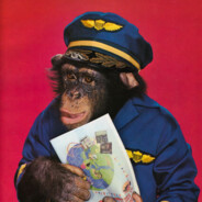Pilot