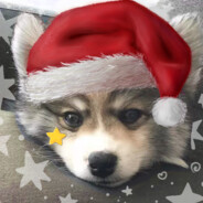 野犬Yerlin