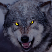 SAKARTVELLO - steam id 76561199515188036