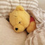 Teddy
