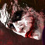 KingJoker866 [NJR]