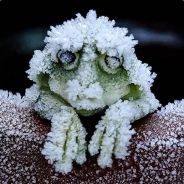 给个机会，我想做个好人