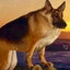 Stariy_Dog
