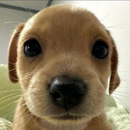 CR7DISCIPLINE's avatar