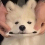 住家保姆十年竟罹患艾