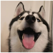 什么时候能瘦到80斤