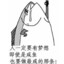 一条努力的咸鱼