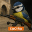 CipC1Rip