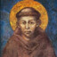 saint.francis