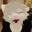 i like pawjobs avatar
