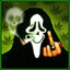 f4f_cricket