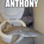 Anthony the shark