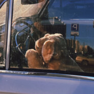 MekVer- - steam id 76561198077848785