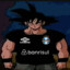 goku grevista