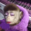 FatimaCheeseburga