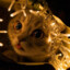 MiSS_Kisa
