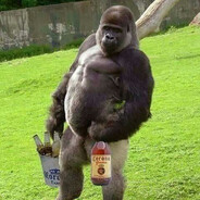 Silverback Gorilla - steam id 76561198803034208