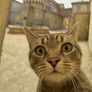 花园宝宝玛卡巴卡