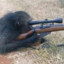 sniper monkey