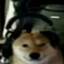 Funtik
